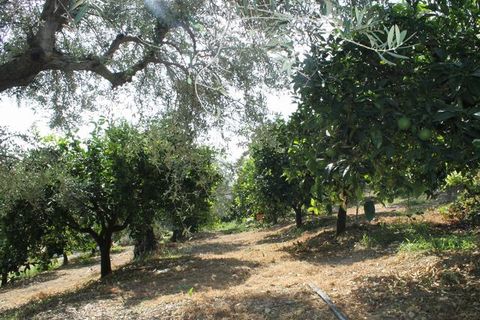 Villa a Calamonaci, Agrigento, Calamonaci - € 390.000 | Ref: Villa Cocchiara - foto 21