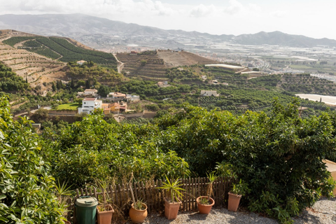 Villa a Motril, Granada, Motril - € 499.000 | Ref: 10781-PN4411 - foto 39