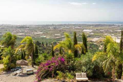 Villa a Motril, Granada, Motril - € 499.000 | Ref: 10781-PN4411 - foto 25