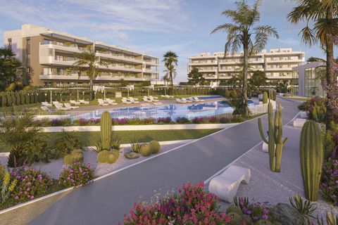Lägenhet i Torrevieja, Alicante - foto 2
