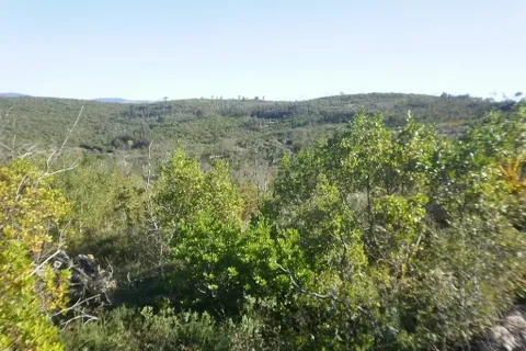 Helårsgrund i Penela, Coimbra, Penela - € 35.000 | Ref: C0234-01710 - foto 2