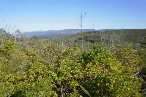 Helårsgrund i Penela, Coimbra, Penela - € 35.000 | Ref: C0234-01710 - foto 4