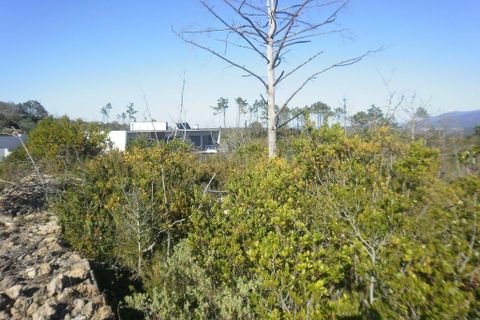 Helårsgrund i Penela, Coimbra, Penela - € 35.000 | Ref: C0234-01710 - foto 5