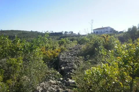 Helårsgrund i Penela, Coimbra, Penela - € 35.000 | Ref: C0234-01710 - foto 6