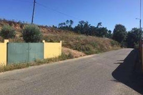 Helårsgrund i Anadia, Aveiro, Anadia - € 55.000 | Ref: C0234-02635 - foto 2
