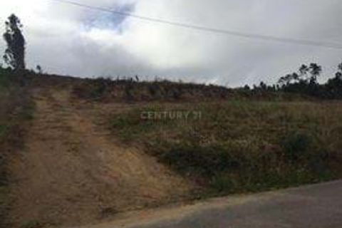 Helårsgrund i Anadia, Aveiro, Anadia - € 55.000 | Ref: C0234-02635 - foto 6