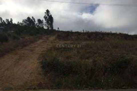 Helårsgrund i Anadia, Aveiro, Anadia - € 55.000 | Ref: C0234-02635 - foto 7