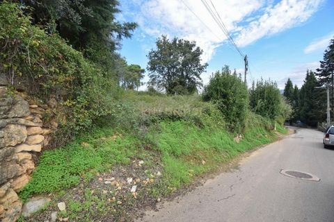 Terra a Assafarge e Antanhol, Coimbra, Assafarge e Antanhol - € 60.000 | Ref: C0234-02652 - foto 2