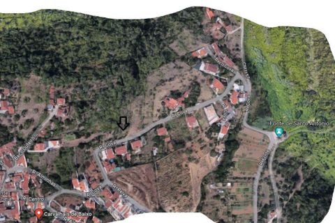 Terra a Assafarge e Antanhol, Coimbra, Assafarge e Antanhol - € 60.000 | Ref: C0234-02652 - foto 3