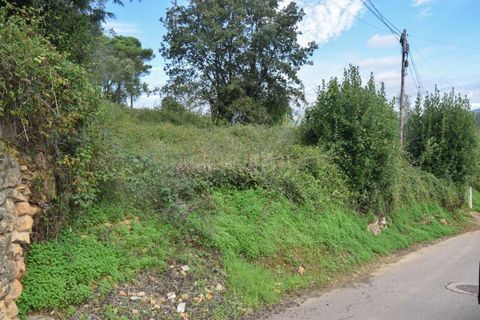 Terra a Assafarge e Antanhol, Coimbra, Assafarge e Antanhol - € 60.000 | Ref: C0234-02652 - foto 4