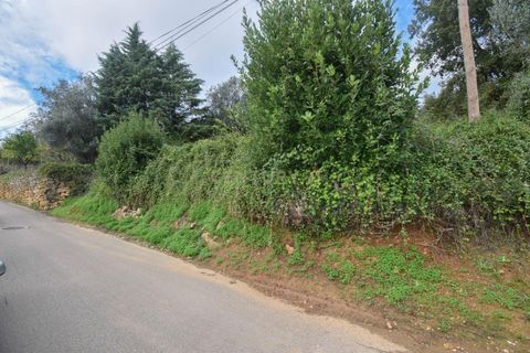Terra a Assafarge e Antanhol, Coimbra, Assafarge e Antanhol - € 60.000 | Ref: C0234-02652 - foto 5