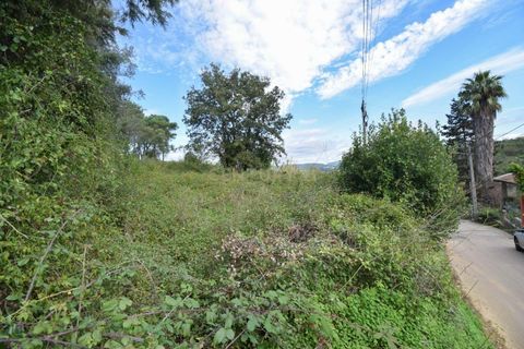 Terra a Assafarge e Antanhol, Coimbra, Assafarge e Antanhol - € 60.000 | Ref: C0234-02652 - foto 6