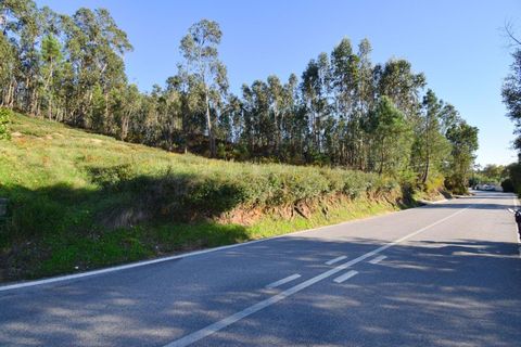 Helårsgrund i Antuzede e Vil de Matos, Coimbra, Antuzede e Vil de Matos - € 49.500 | Ref: C0234-02746 - foto 3