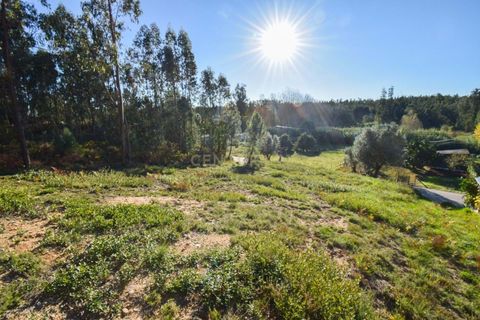 Helårsgrund i Antuzede e Vil de Matos, Coimbra, Antuzede e Vil de Matos - € 49.500 | Ref: C0234-02746 - foto 4