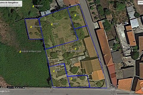 Villa a Anadia, Aveiro, Anadia - € 190.000 | Ref: C0184-01042 - foto 5