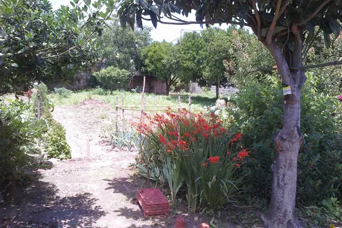 Villa a Anadia, Aveiro, Anadia - € 190.000 | Ref: C0184-01042 - foto 7
