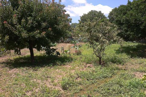 Villa a Anadia, Aveiro, Anadia - € 190.000 | Ref: C0184-01042 - foto 8