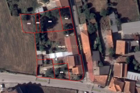 Villa a Anadia, Aveiro, Anadia - € 190.000 | Ref: C0184-01042 - foto 33