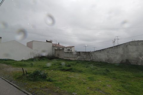 Helårsgrund i Beringel, Beja, Beringel - € 30.000 | Ref: 2088 - foto 4