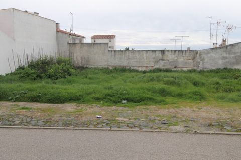 Helårsgrund i Beringel, Beja, Beringel - € 30.000 | Ref: 2088 - foto 3