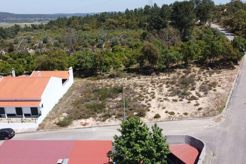 Helårsgrund i Chamusca, Santarem, Chamusca - € 33.000 | Ref: C0417-00163 - foto 5