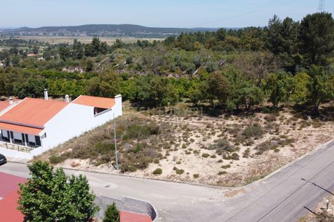 Helårsgrund i Chamusca, Santarem, Chamusca - € 33.000 | Ref: C0417-00163 - foto 7