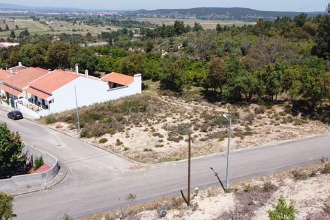 Helårsgrund i Chamusca, Santarem, Chamusca - € 33.000 | Ref: C0417-00163 - foto 8