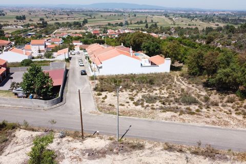 Helårsgrund i Chamusca, Santarem, Chamusca - € 33.000 | Ref: C0417-00163 - foto 9