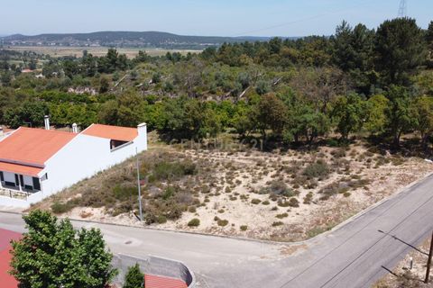 Helårsgrund i Chamusca, Santarem, Chamusca - € 33.000 | Ref: C0417-00163 - foto 11
