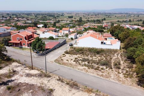 Helårsgrund i Chamusca, Santarem, Chamusca - € 33.000 | Ref: C0417-00163 - foto 13
