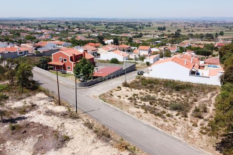 Helårsgrund i Chamusca, Santarem, Chamusca - € 33.000 | Ref: C0417-00163 - foto 14