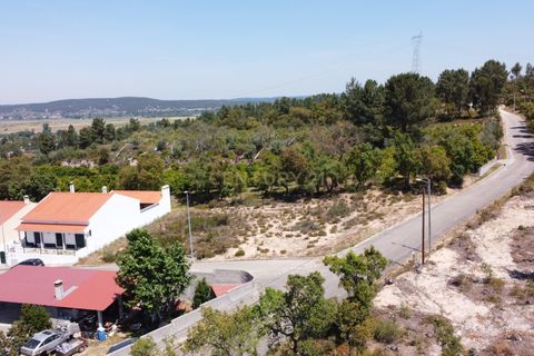 Helårsgrund i Chamusca, Santarem, Chamusca - € 33.000 | Ref: C0417-00163 - foto 15
