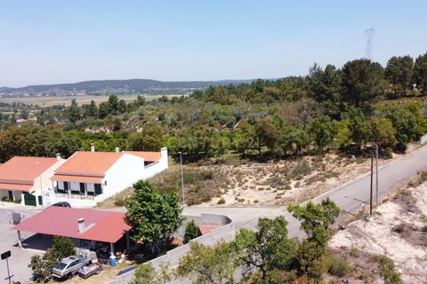 Helårsgrund i Chamusca, Santarem, Chamusca - € 33.000 | Ref: C0417-00163 - foto 18