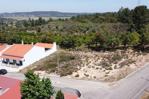 Helårsgrund i Chamusca, Santarem, Chamusca - € 33.000 | Ref: C0417-00163 - foto 19