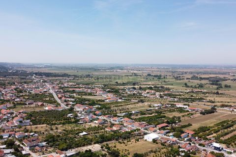 Helårsgrund i Chamusca, Santarem, Chamusca - € 33.000 | Ref: C0417-00163 - foto 23