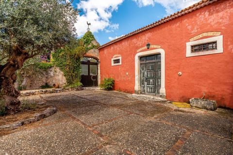 Farm hus i Gondemaria e Olival, Santarem, Gondemaria e Olival - € 1.750.000 | Ref: C0426-00152 - foto 4