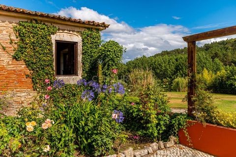 Farm hus i Gondemaria e Olival, Santarem, Gondemaria e Olival - € 1.750.000 | Ref: C0426-00152 - foto 26