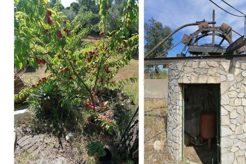 Helårsgrund i Serra, Santarem, Serra - € 620.000 | Ref: C0263-01849 - foto 4