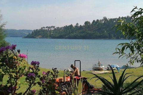 Helårsgrund i Serra, Santarem, Serra - € 620.000 | Ref: C0263-01849 - foto 6