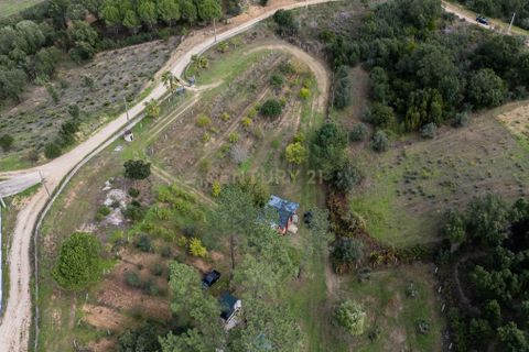 Helårsgrund i Serra, Santarem, Serra - € 620.000 | Ref: C0263-01849 - foto 31