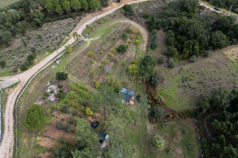 Helårsgrund i Serra, Santarem, Serra - € 620.000 | Ref: C0263-01849 - foto 32