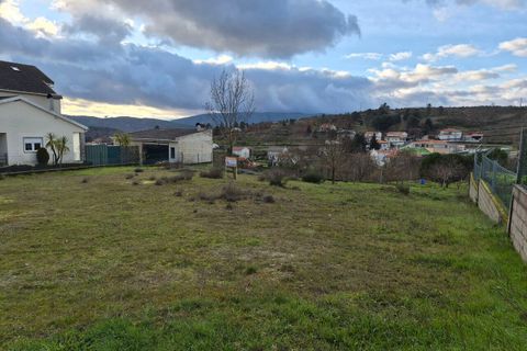Terra a Macainhas de Baixo, Guarda, Macainhas de Baixo - € 62.500 | Ref: SF-SAFTI:007600 - foto 3