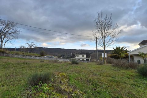 Terra a Macainhas de Baixo, Guarda, Macainhas de Baixo - € 62.500 | Ref: SF-SAFTI:007600 - foto 5