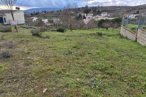 Terra a Macainhas de Baixo, Guarda, Macainhas de Baixo - € 62.500 | Ref: SF-SAFTI:007600 - foto 6