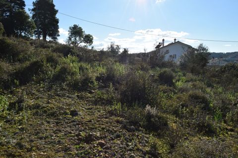 Helårsgrund i Assafarge e Antanhol, Coimbra, Assafarge e Antanhol - € 80.000 | Ref: SF-SAFTI:007588 - foto 12