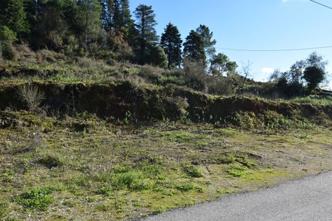 Helårsgrund i Assafarge e Antanhol, Coimbra, Assafarge e Antanhol - € 80.000 | Ref: SF-SAFTI:007588 - foto 15