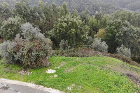 Helårsgrund i Tomar, Santarem, Tomar - € 109.000 | Ref: SF-SAFTI:007606 - foto 3