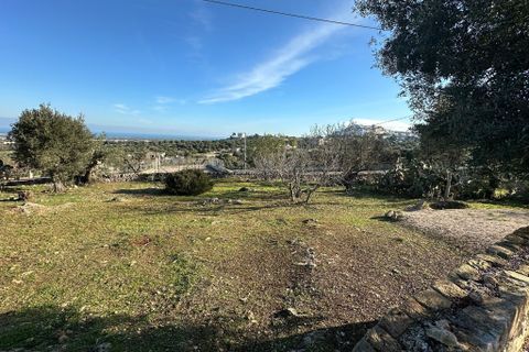 Villa i Ostuni, Brindisi, Ostuni - € 240.000 | Ref: 825 - foto 21