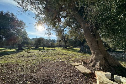 Villa i Ostuni, Brindisi, Ostuni - € 240.000 | Ref: 825 - foto 35