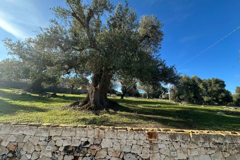 Villa i Ostuni, Brindisi, Ostuni - € 240.000 | Ref: 825 - foto 36